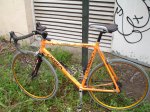 DSC03304.jpg