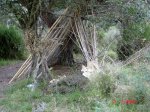DSC04932.jpg