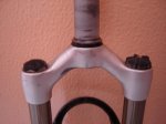DSC00707.JPG