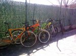 todas bicis 001.jpg
