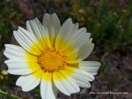100_6962.JPG