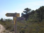 DSC02017.JPG