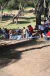 IMG_0385.jpg