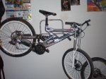 08.02.09 bici tunea 001.jpg