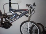 08.02.09 bici tunea 002.jpg