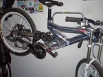 08.02.09 bici tunea 003.jpg