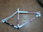 DSC01732.jpg