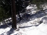 Furferbike [800x600].jpg