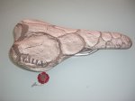 tierra 1.JPG