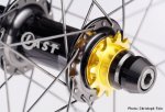 8_267_8_Team-Wheels-004.jpg