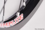 8_1951_8_Team-Wheels-005.jpg