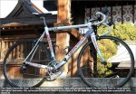 super6-bassojapan[1].jpg