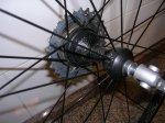 DSCN1437.jpg