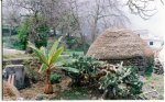=TENERIFE= (1).jpg