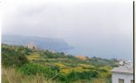=TENERIFE= (5).jpg