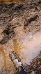 DSC06393x8.JPG