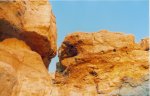 =TENERIFE= (20).jpg