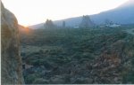 =TENERIFE= (24).jpg