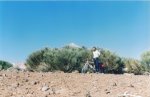 =TENERIFE= (39).jpg