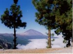 =TENERIFE= (46).jpg