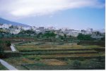 =TENERIFE= (50).jpg
