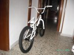 mirraco 001.jpg
