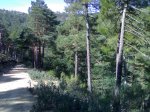 14032009423.jpg