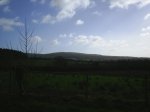 S4010051.jpg