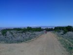 08032009401.jpg