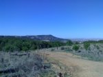 08032009403.jpg