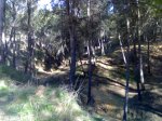08032009405.jpg