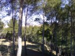 08032009406.jpg