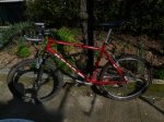 BICI 020.jpg