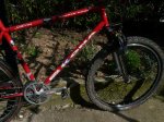 BICI 024.jpg