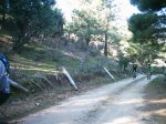 DSC_1232.jpg