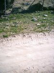 DSC_1234.jpg