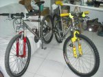 DSCF0389al50.jpg