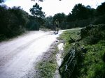DSC_1252.jpg