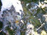 DSC_1260.jpg