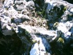 DSC_1262.jpg