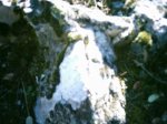 DSC_1263.jpg