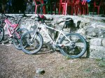 DSC_1295.jpg