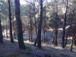 Imagen076.jpg