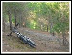 IMG_0733.jpg