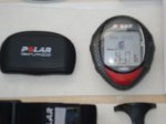polar3.jpg