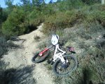 DSC00005.jpg