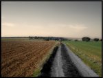 DSC08529.jpg