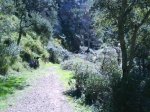DSC00142.jpg