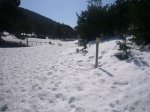 Foto6.JPG