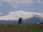 Foto15.JPG